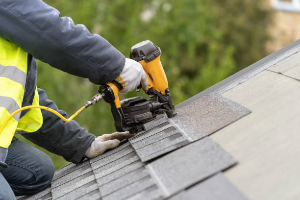 Best Roof Moss and Algae Removal  in Hinesville, GA