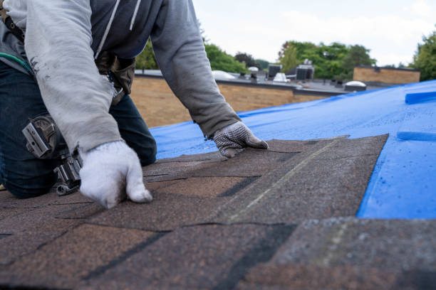 Best Roof Leak Repair  in Hinesville, GA