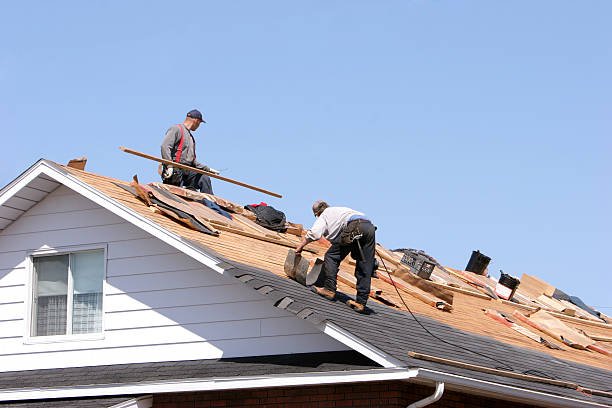 Best Chimney Flashing Repair  in Hinesville, GA