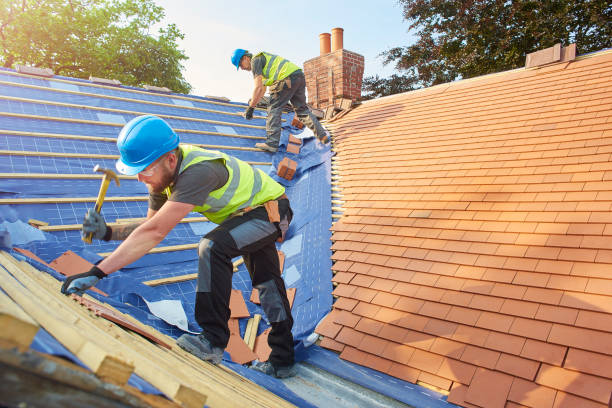 Best Asphalt Shingles Roofing  in Hinesville, GA